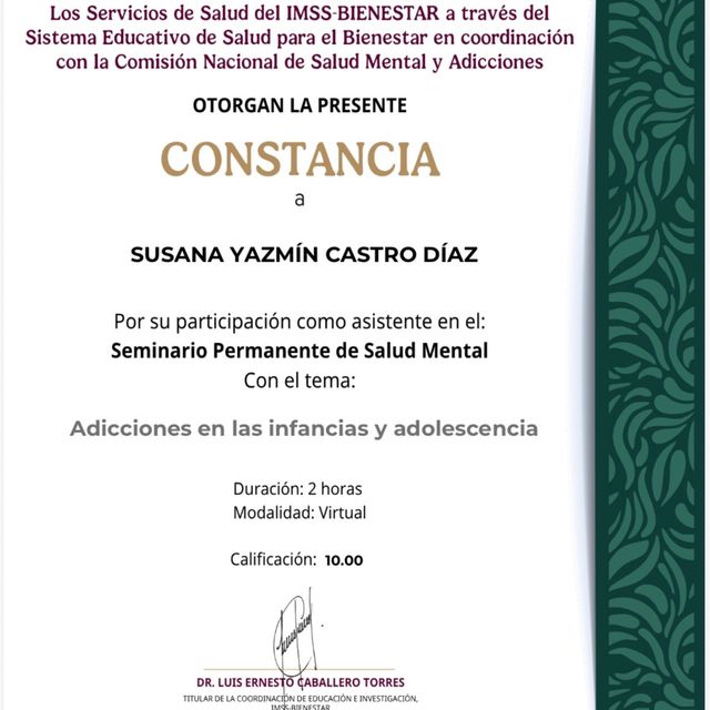 Ampliar imagen: certificate 21