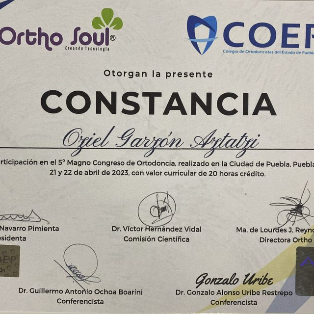 Ampliar imagen: certificate 10