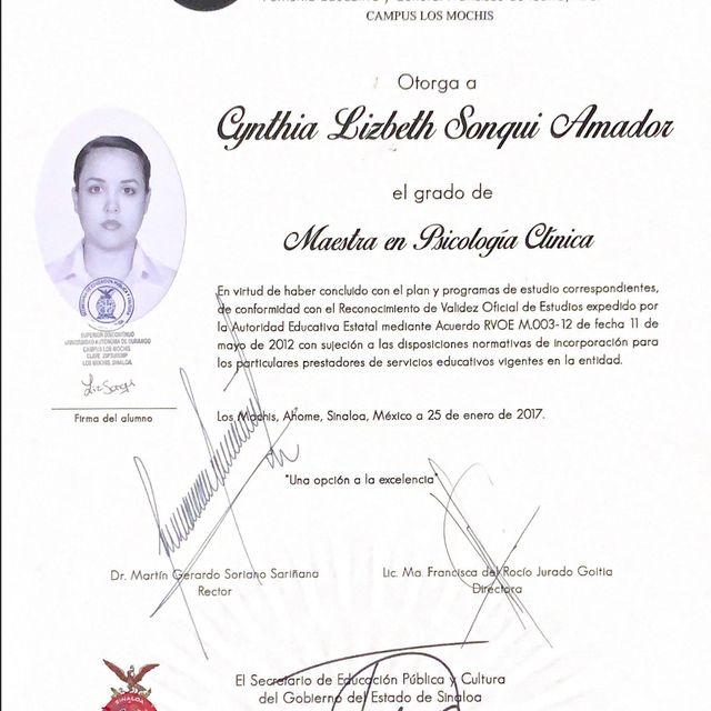 Ampliar imagen: certificate 2