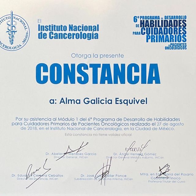 Ampliar imagen: certificate 8