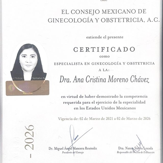 Ampliar imagen: certificate 8