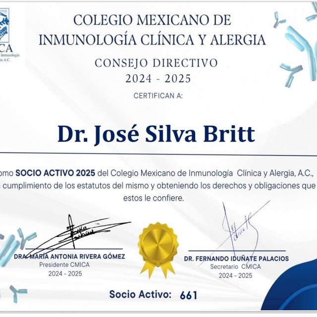 Ampliar imagen: certificate 4