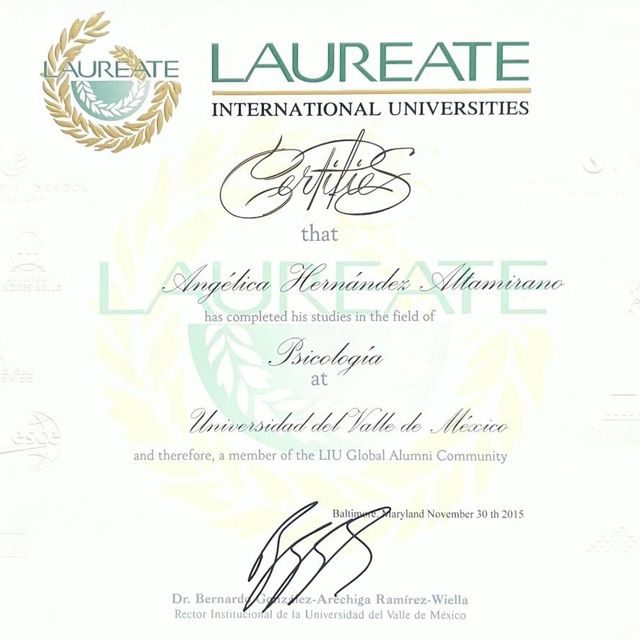 Ampliar imagen: certificate 8