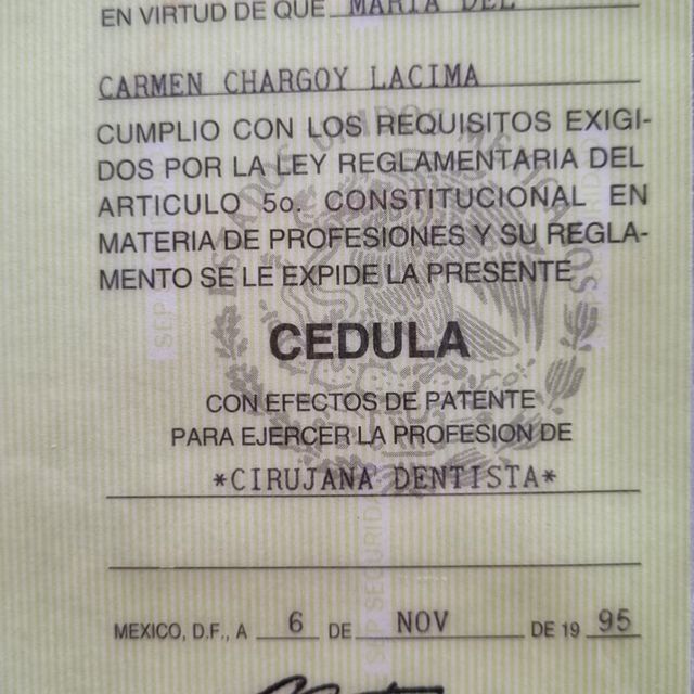 Ampliar imagen: certificate 2