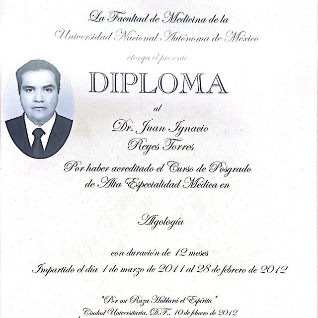 Ampliar imagen: certificate 3