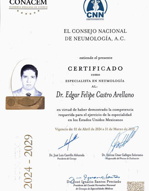 Ampliar imagen: certificate 4