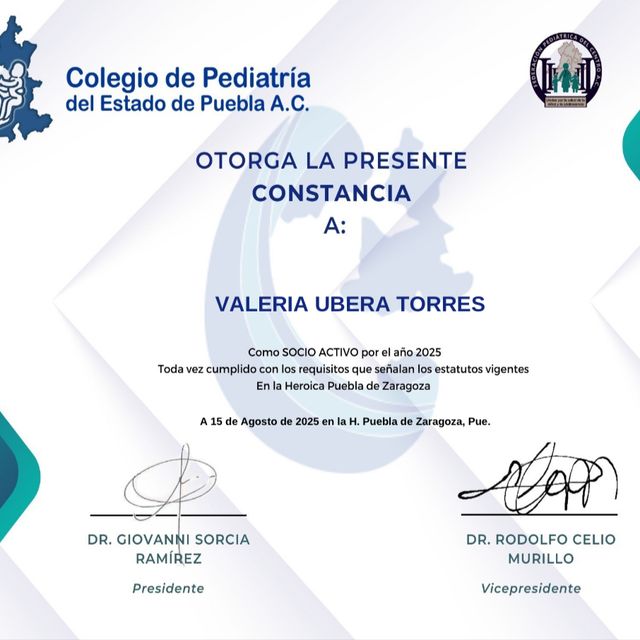 Ampliar imagen: certificate 3