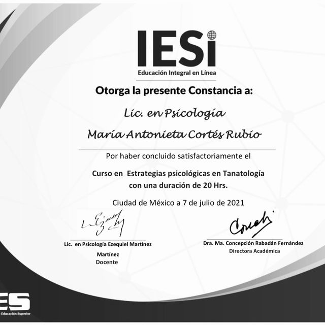 Ampliar imagen: certificate 9