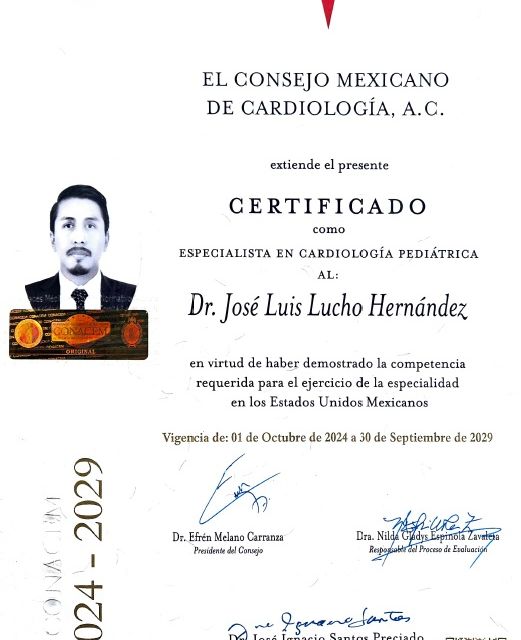 Ampliar imagen: certificate 2