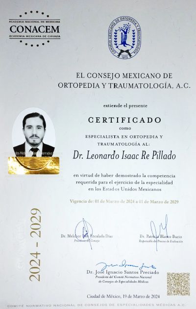 Ampliar imagen: certificate 1