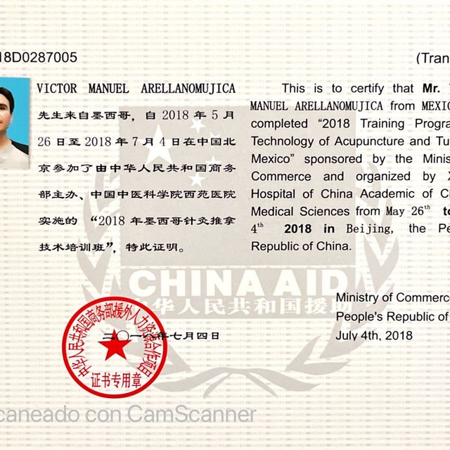 Ampliar imagen: certificate 11