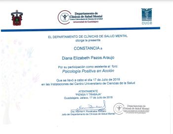 Ampliar imagen: certificate 5