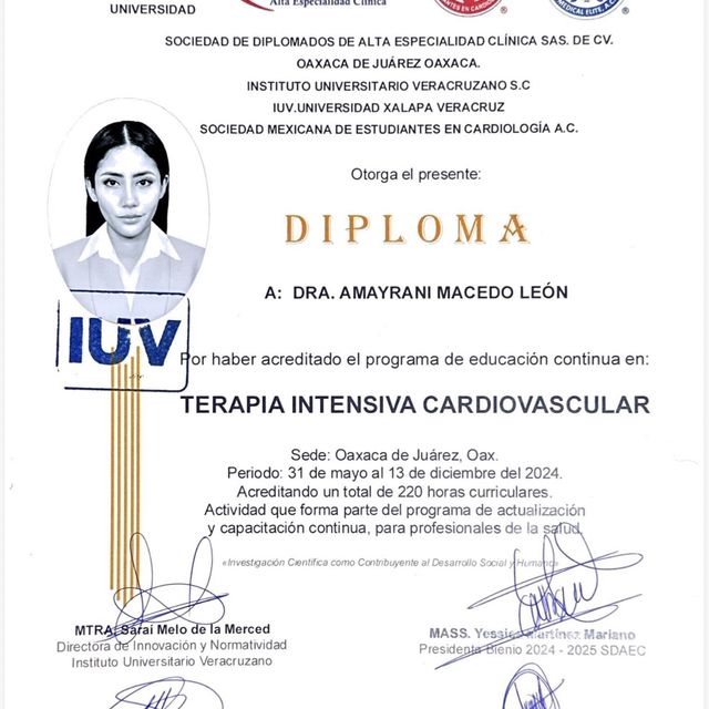 Ampliar imagen: certificate 4