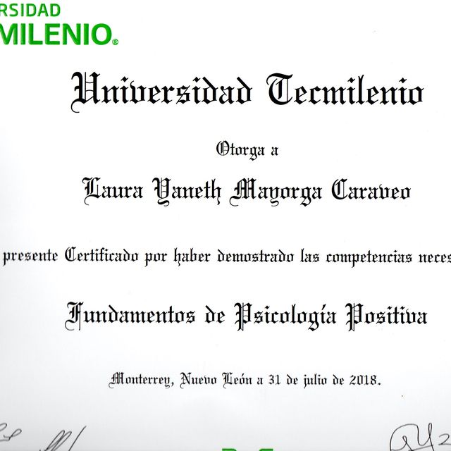 Ampliar imagen: certificate 6