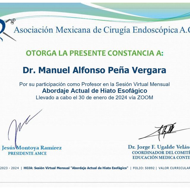 Ampliar imagen: certificate 15