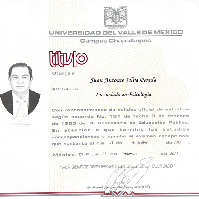 Ampliar imagen: certificate 2