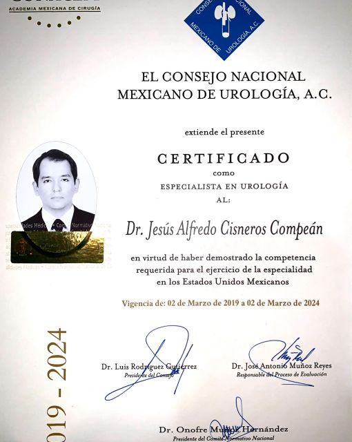 Ampliar imagen: certificate 7