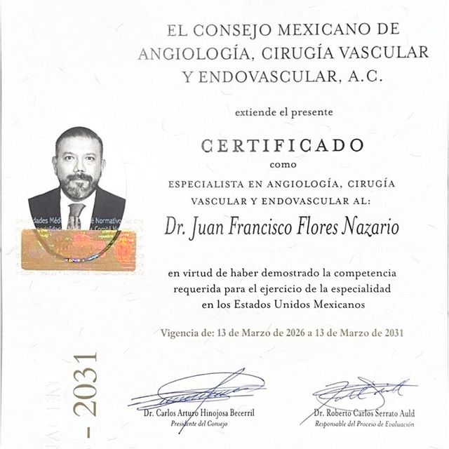 Ampliar imagen: certificate 1