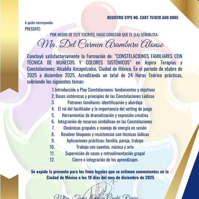Ampliar imagen: certificate 9