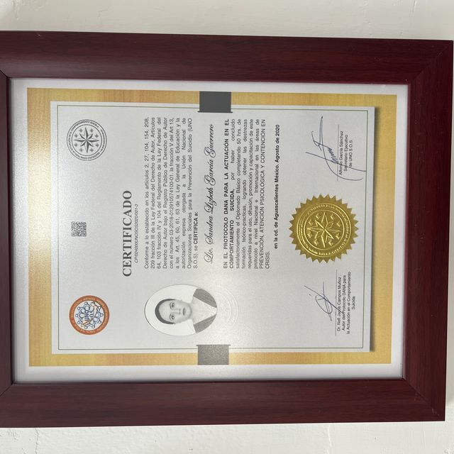 Ampliar imagen: certificate 7