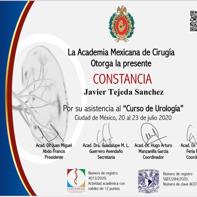 Ampliar imagen: certificate 3