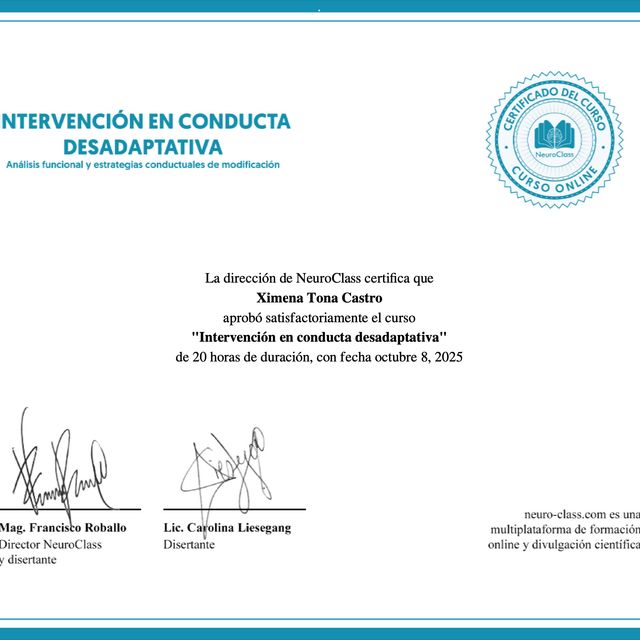 Ampliar imagen: certificate 2