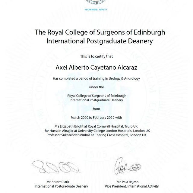 Ampliar imagen: certificate 3