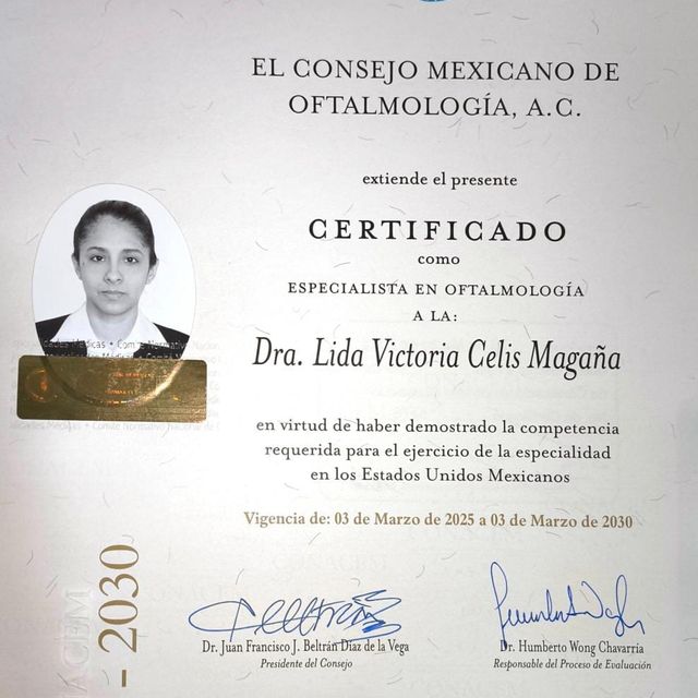 Ampliar imagen: certificate 1