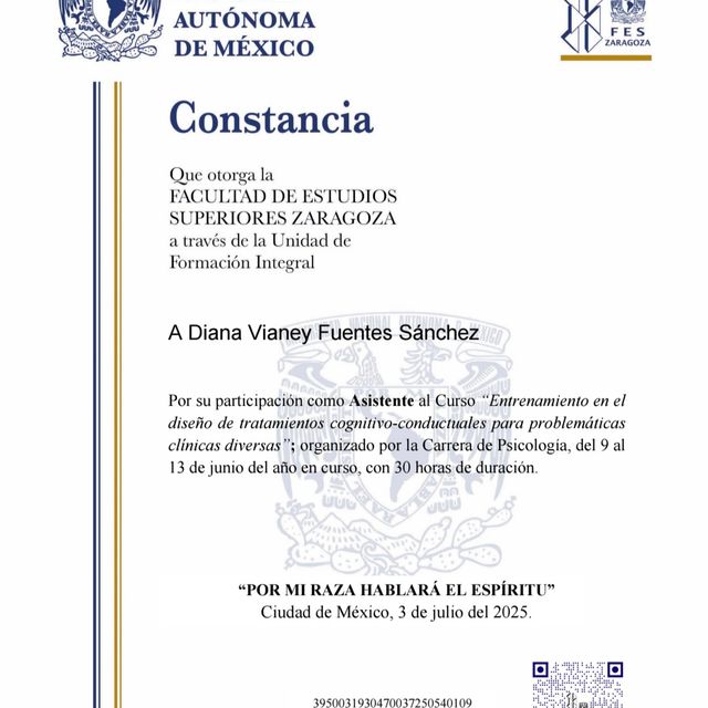 Ampliar imagen: certificate 7