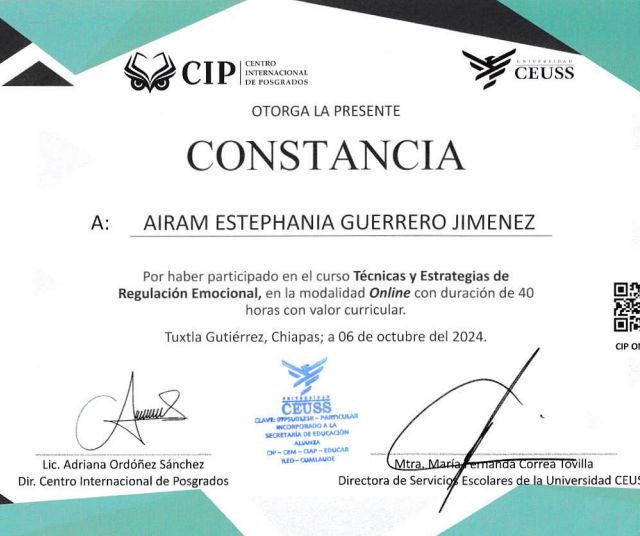 Ampliar imagen: certificate 5
