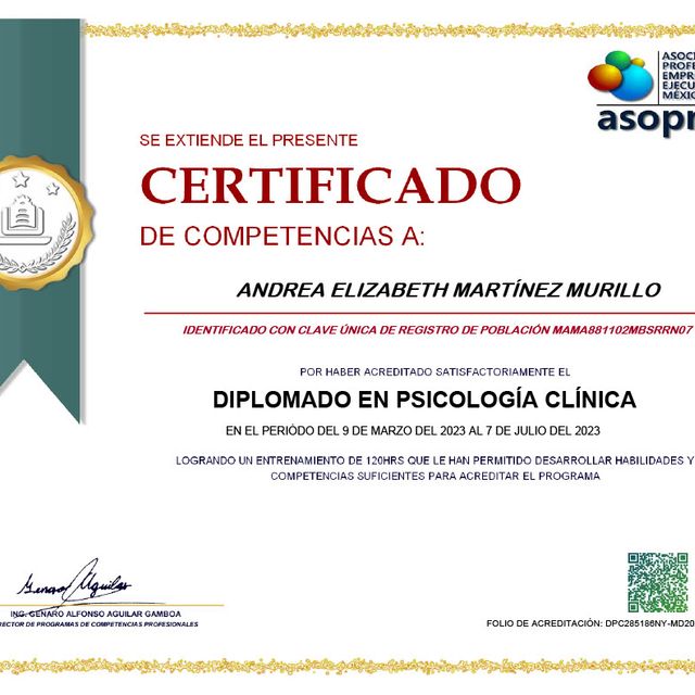 Ampliar imagen: certificate 50