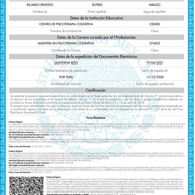 Ampliar imagen: certificate 2