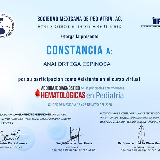 Ampliar imagen: certificate 1