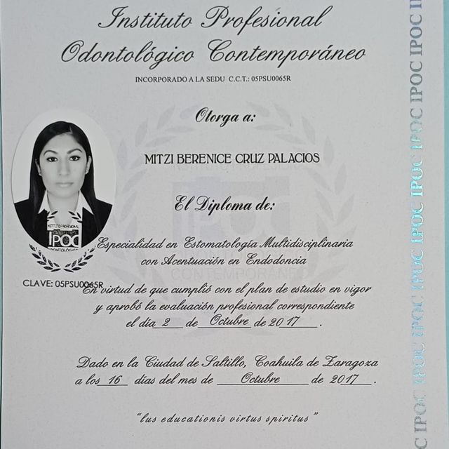 Ampliar imagen: certificate 2