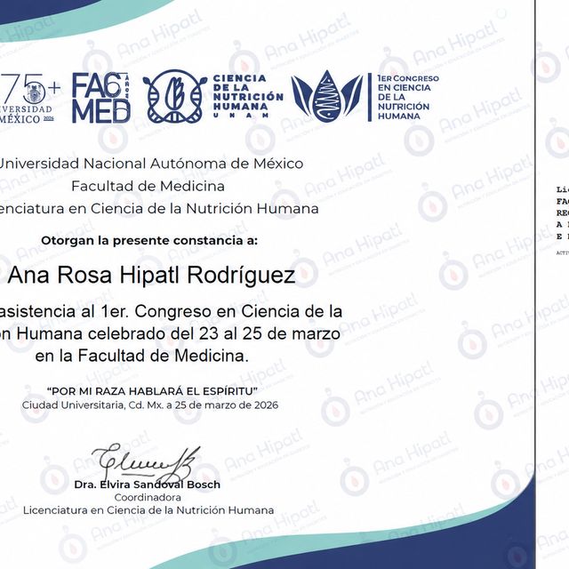 Ampliar imagen: certificate 33