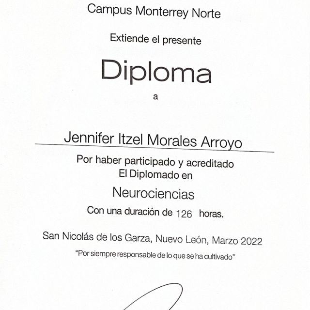 Ampliar imagen: certificate 4