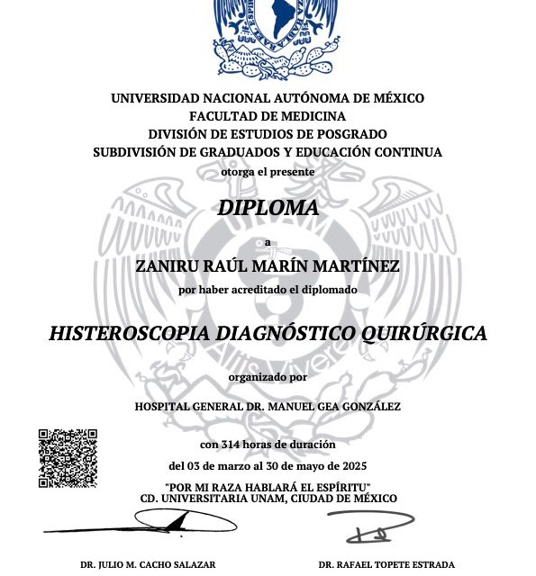 Ampliar imagen: certificate 2