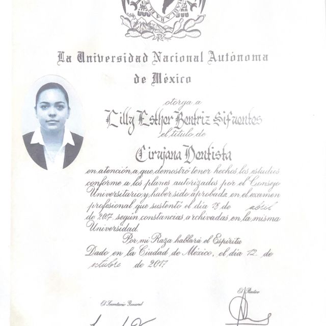 Ampliar imagen: certificate 3