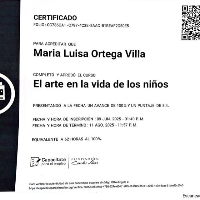 Ampliar imagen: certificate 10