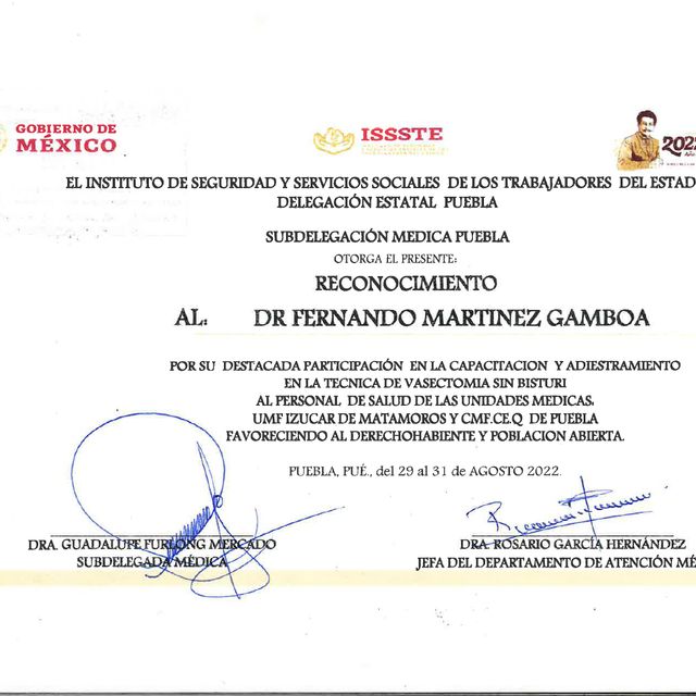 Ampliar imagen: certificate 13