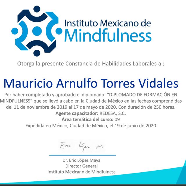 Ampliar imagen: certificate 3