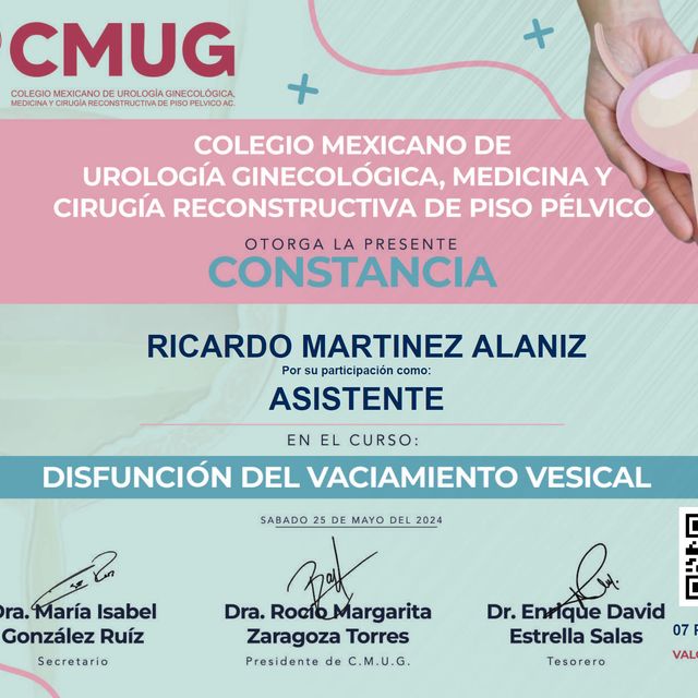 Ampliar imagen: certificate 7