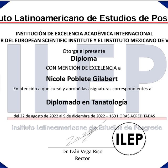 Ampliar imagen: certificate 3