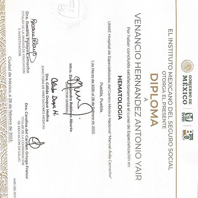 Ampliar imagen: certificate 2