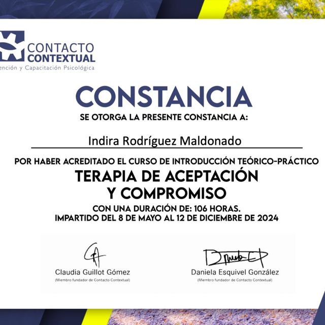 Ampliar imagen: certificate 4