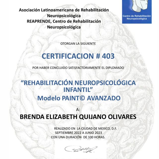 Ampliar imagen: certificate 1