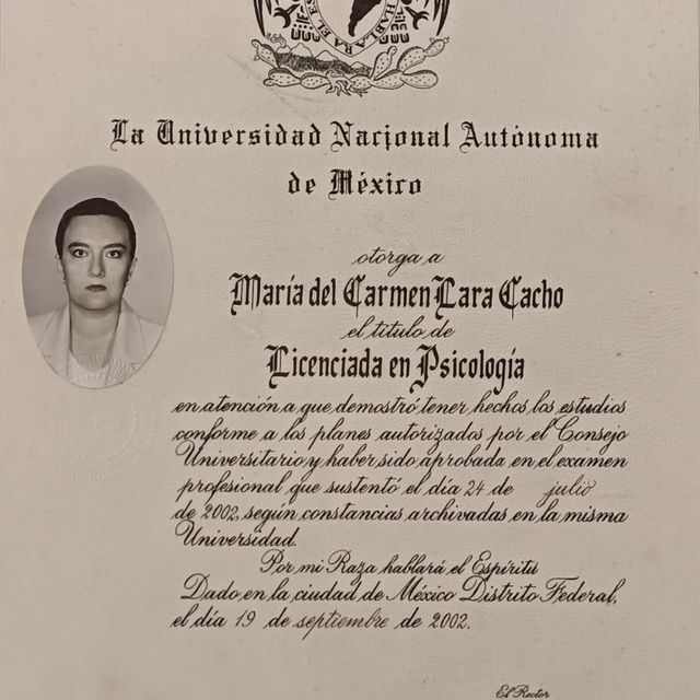 Ampliar imagen: certificate 1