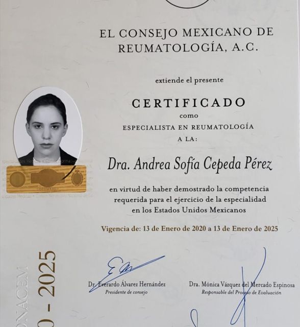 Ampliar imagen: certificate 2