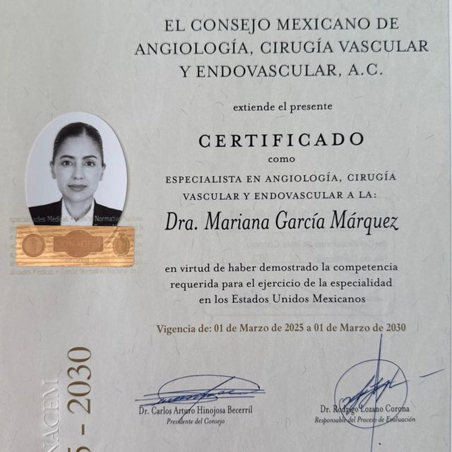 Ampliar imagen: certificate 2