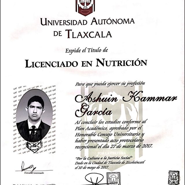 Ampliar imagen: certificate 5